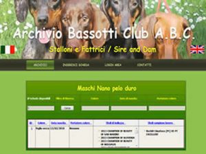 sito web progettato da jc elettronica