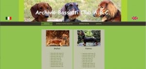 jc elettronica: software per l'automazione e per il web